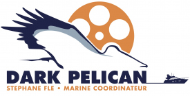 Logo Dark Pelican